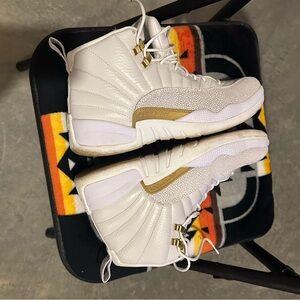 jordan 12s evo